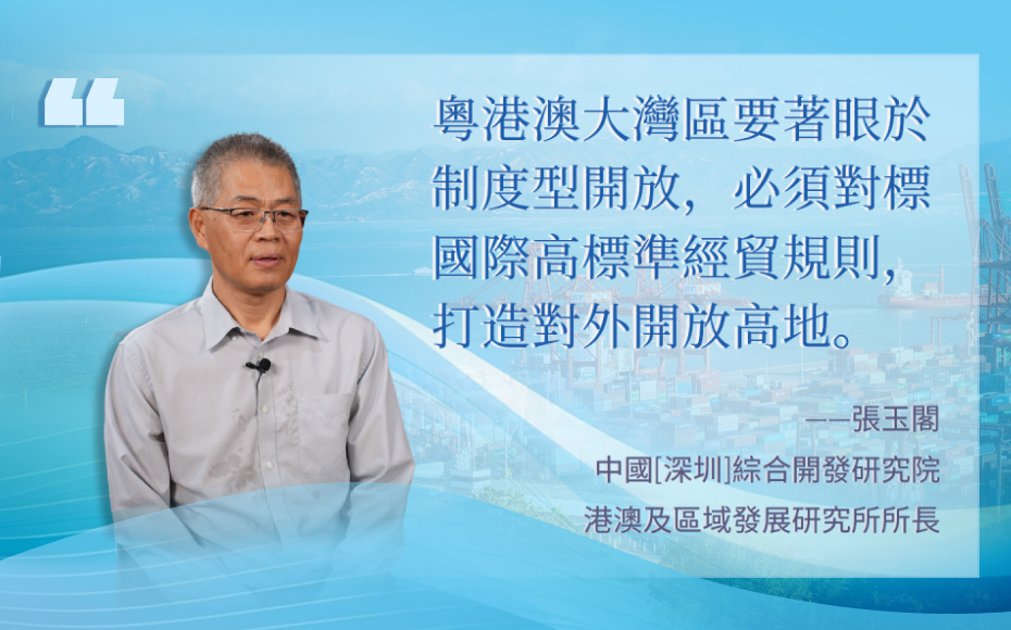 張玉閣：打造粵港澳大灣區對外開放高地