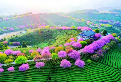閩台親上親 融合向未來 ——福建探索海峽兩岸融合發展新路邁出更大步伐