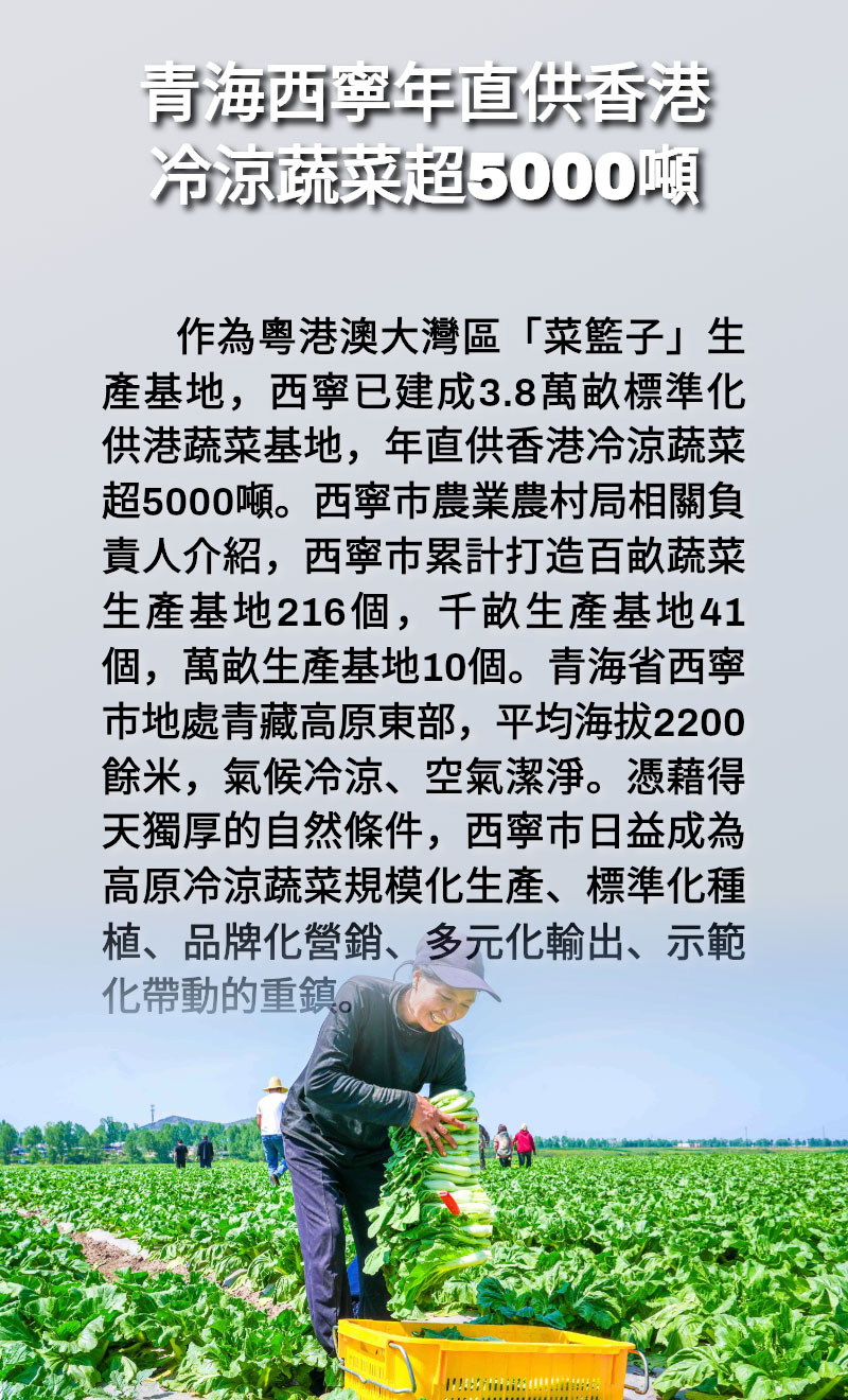 海報 | 青海西寧年直供香港冷涼蔬菜超5000噸 海報 | 青海西寧年直供香港冷涼蔬菜超5000噸